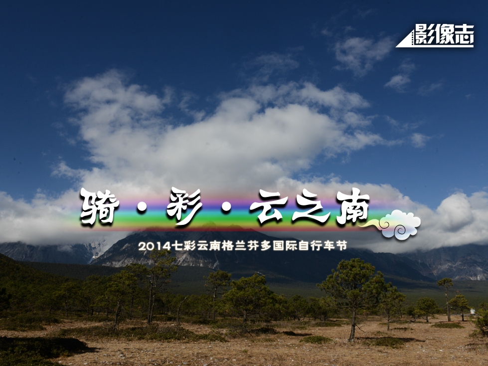 [Ӱ־]Tʡ֮ϡ2014߲ϸmҶ(gu)H܇(ch)(ji)